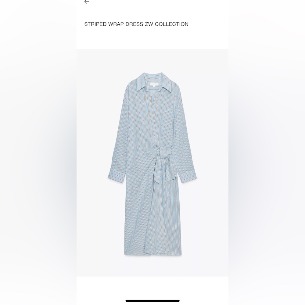 Zara Blue and White Striped Maxi Dress